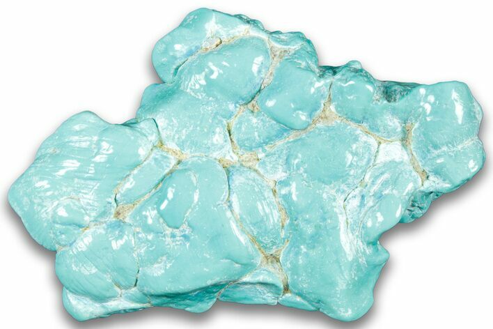 Polished Chilean Turquoise ( grams) Nugget #324097